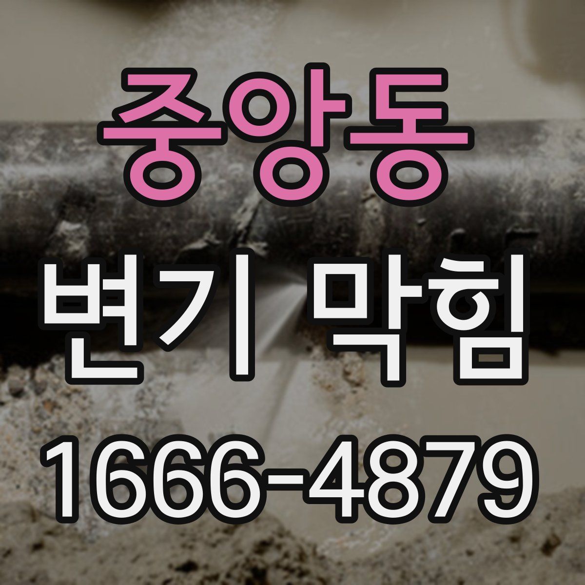 중앙동 변기 막힘