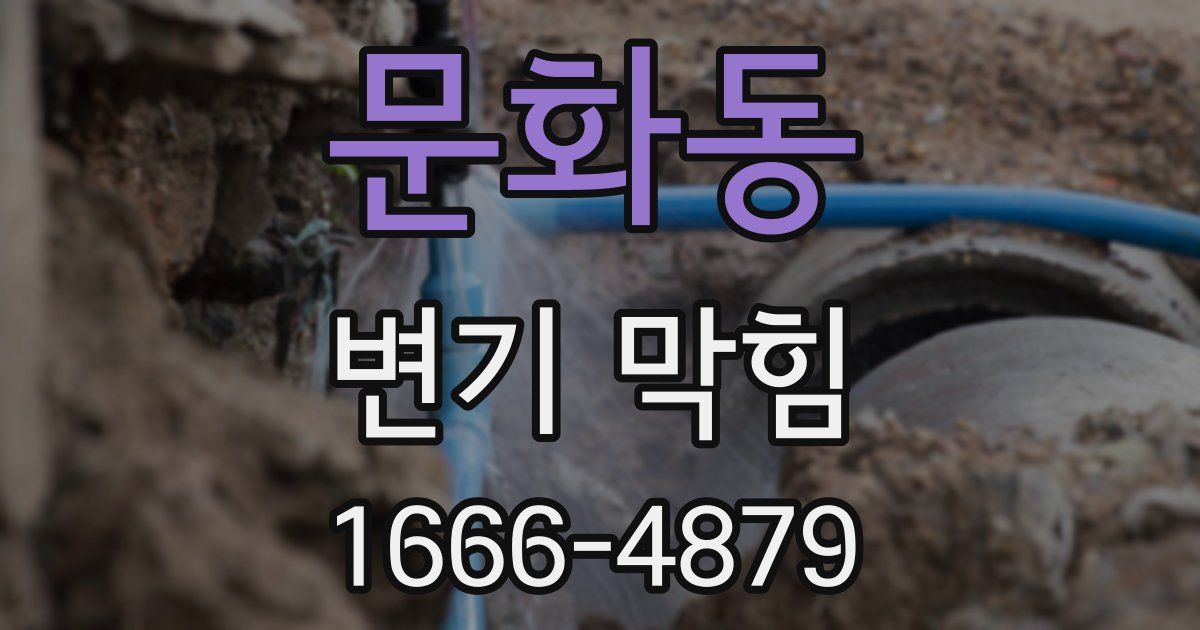 문화동 변기 막힘