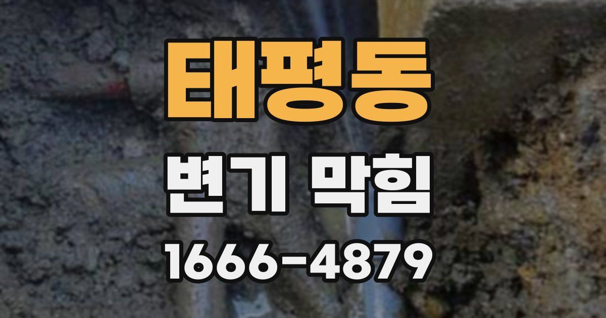 태평동 변기 막힘