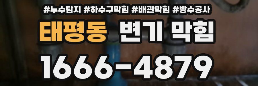태평동 변기 막힘