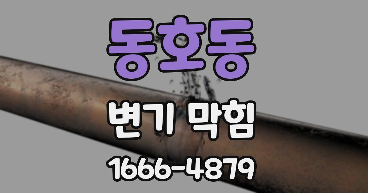 동호동 변기 막힘