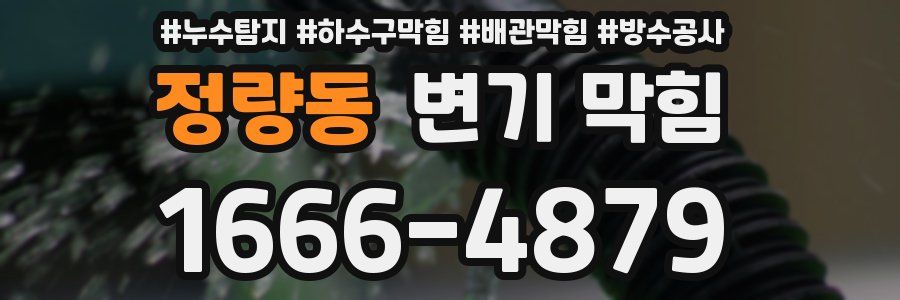 정량동 변기 막힘