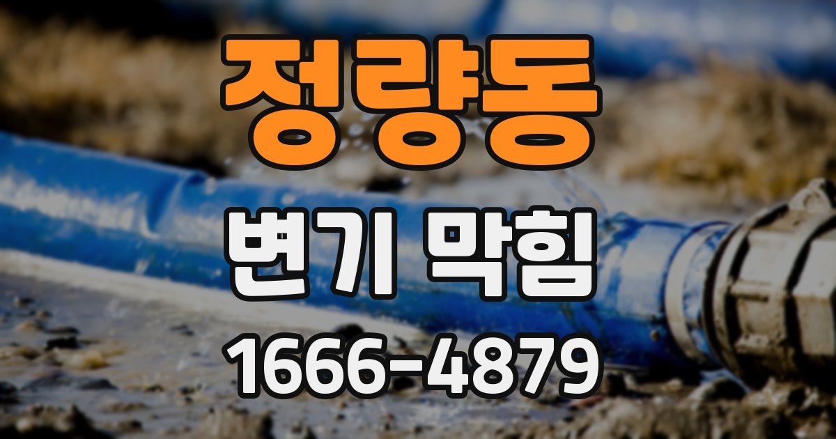 정량동 변기 막힘