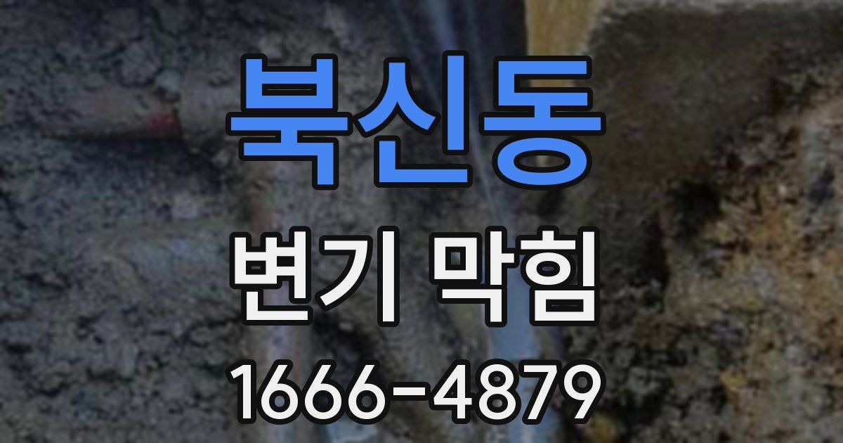 북신동 변기 막힘