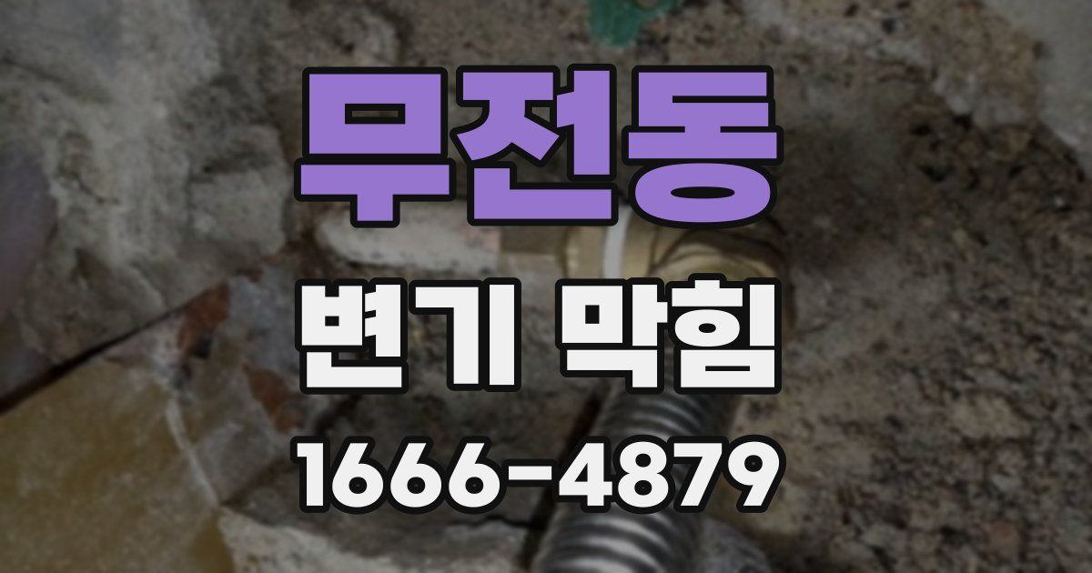 무전동 변기 막힘