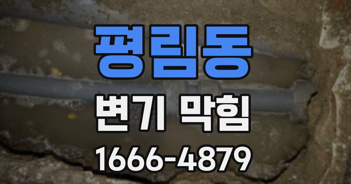 평림동 변기 막힘