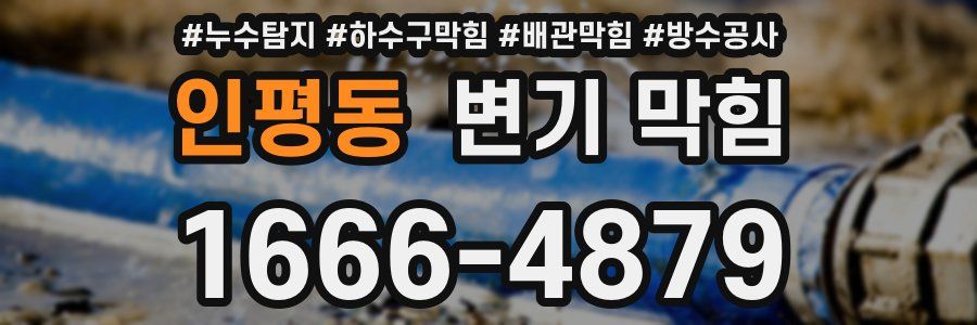 인평동 변기 막힘