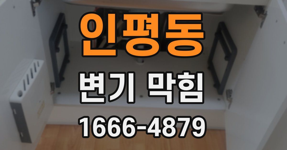 인평동 변기 막힘