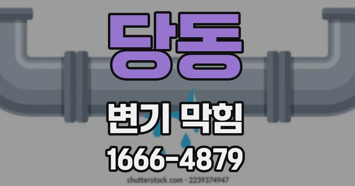 당동 변기 막힘