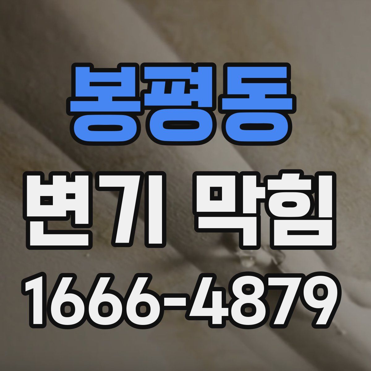 봉평동 변기 막힘