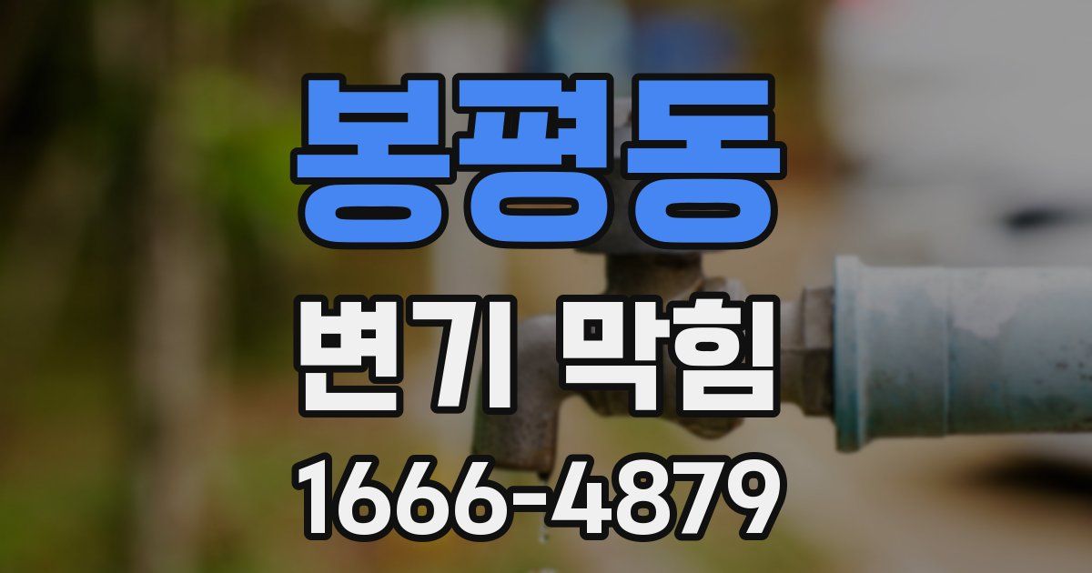 봉평동 변기 막힘