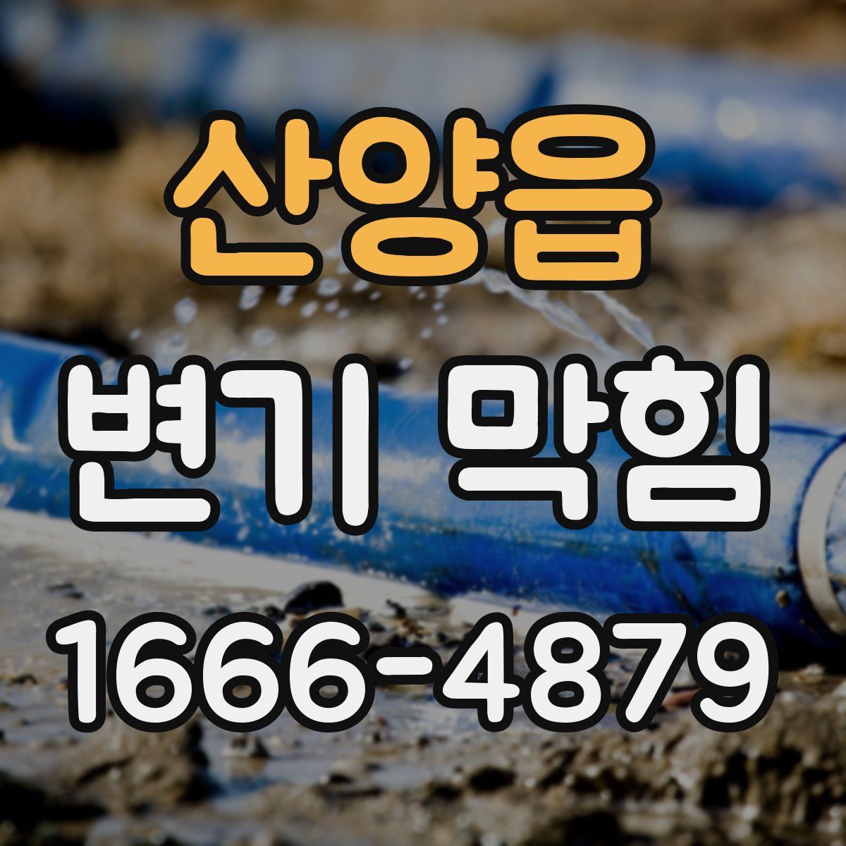 산양읍 변기 막힘