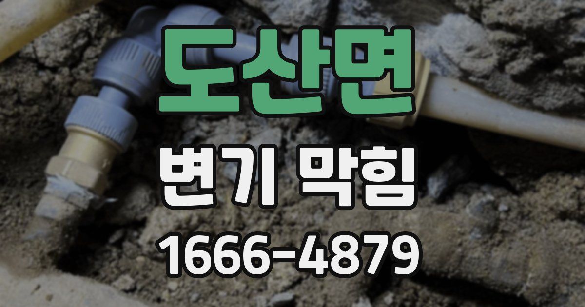 도산면 변기 막힘