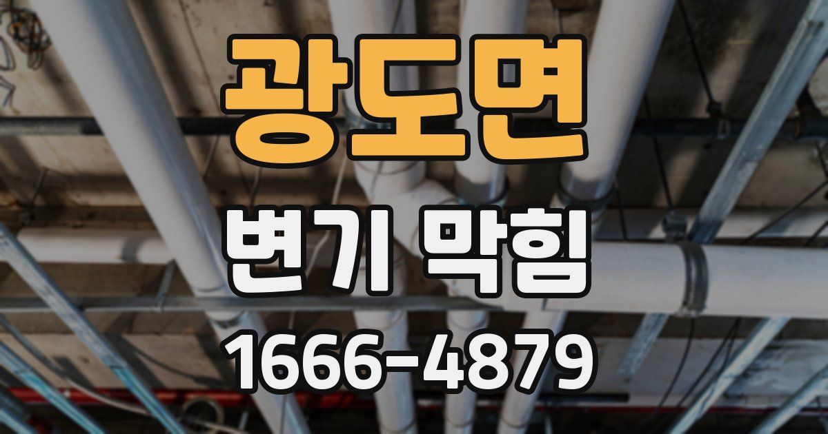 광도면 변기 막힘
