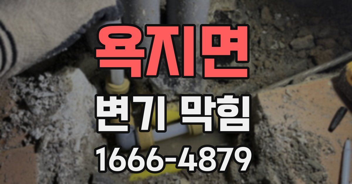 욕지면 변기 막힘