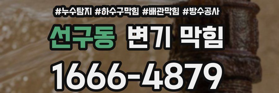 선구동 변기 막힘