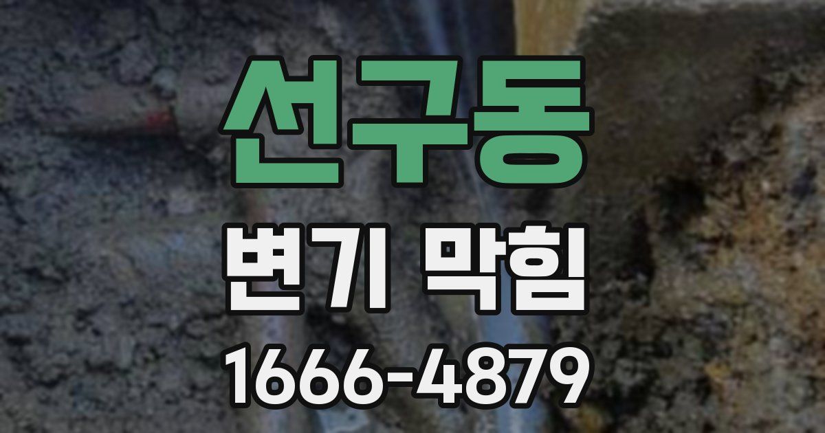 선구동 변기 막힘