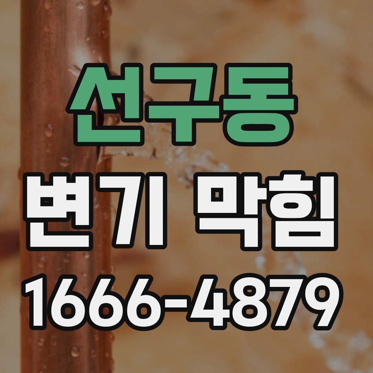선구동 변기 막힘