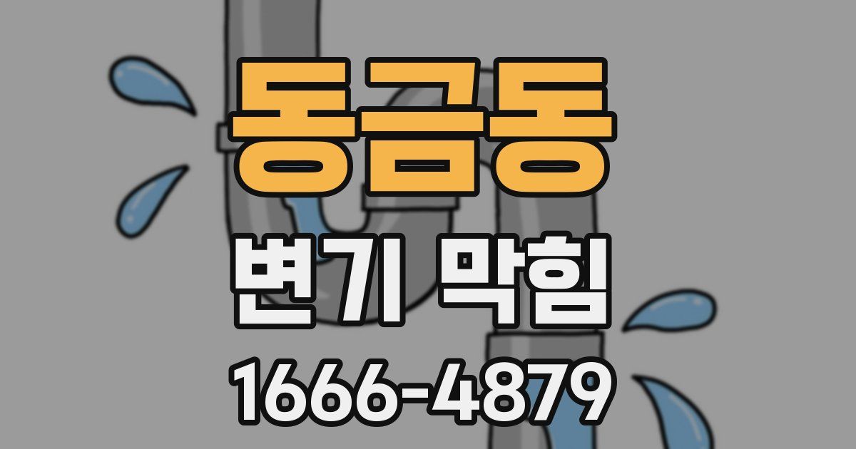 동금동 변기 막힘