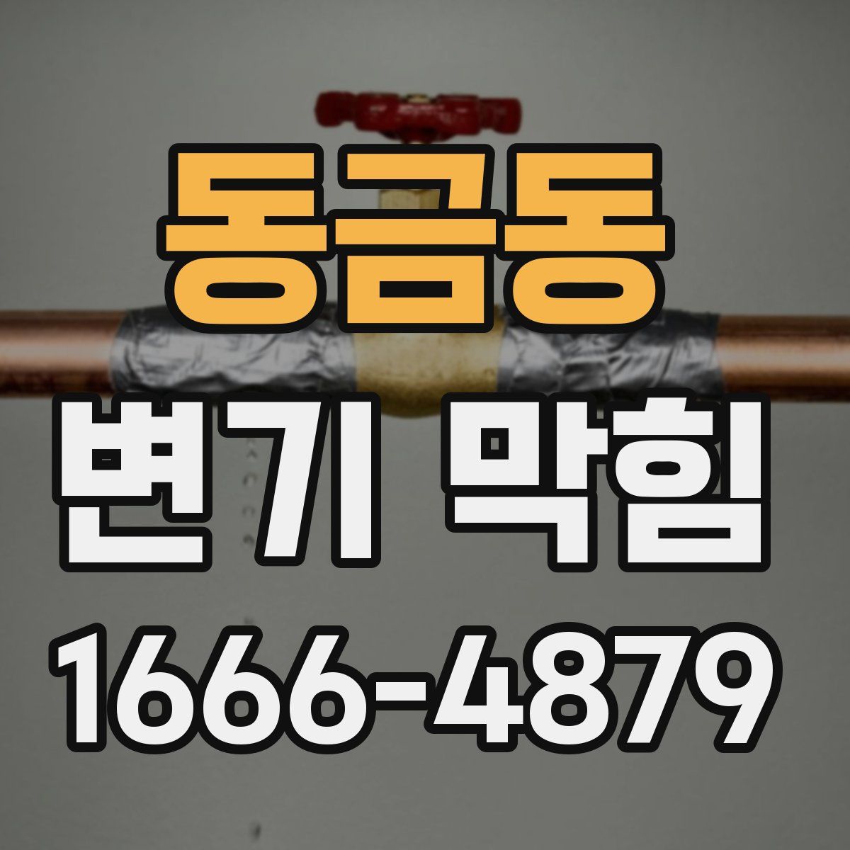 동금동 변기 막힘