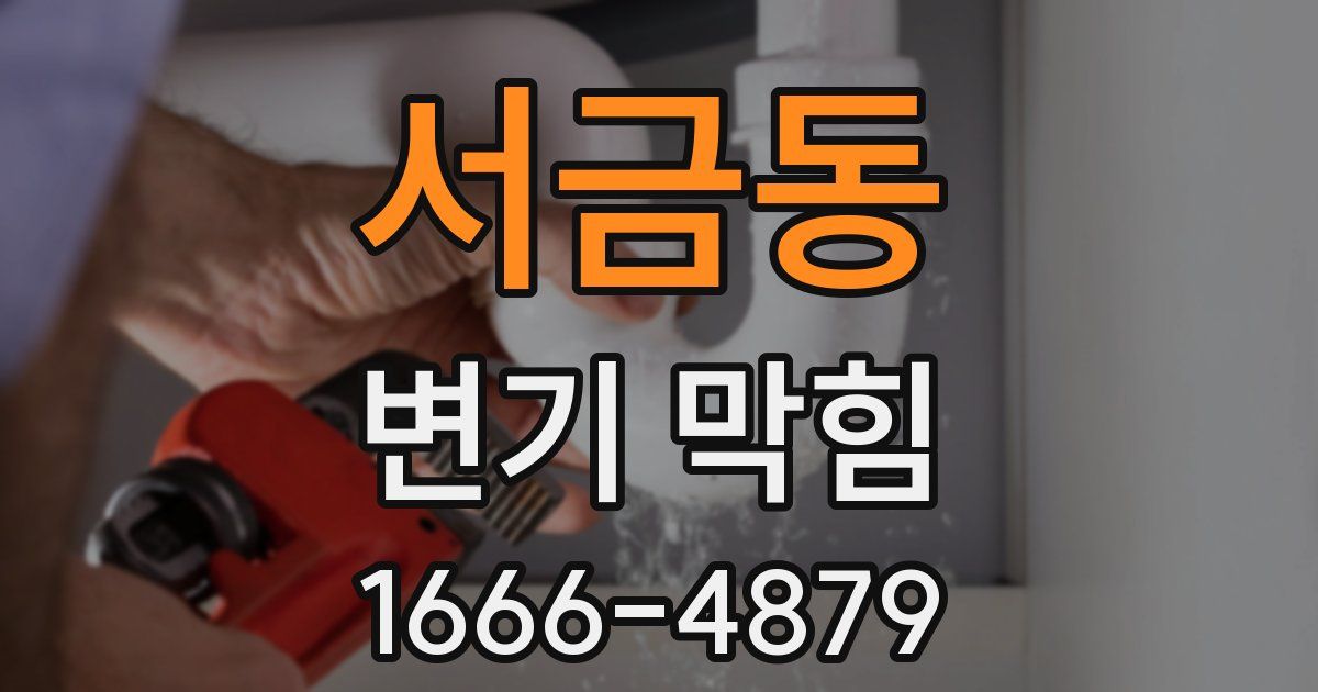 서금동 변기 막힘