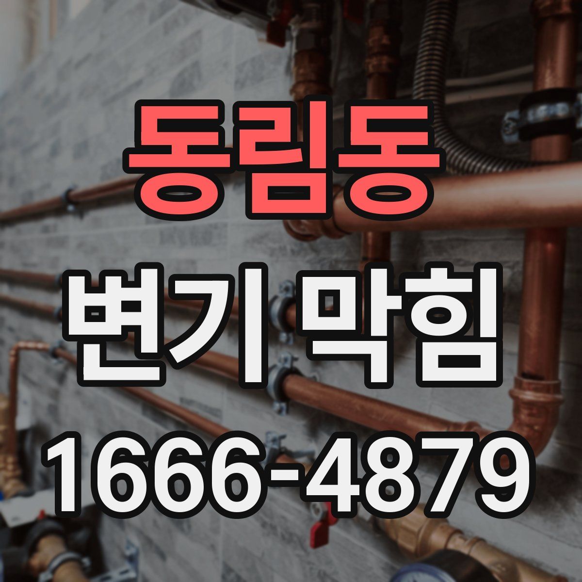 동림동 변기 막힘