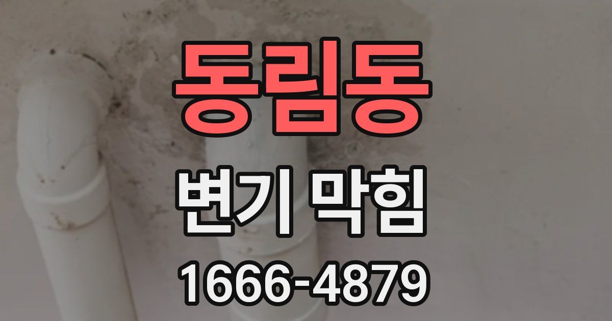 동림동 변기 막힘