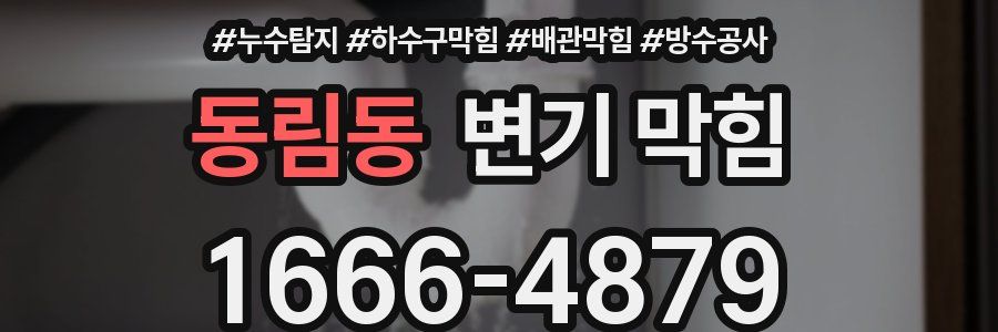 동림동 변기 막힘