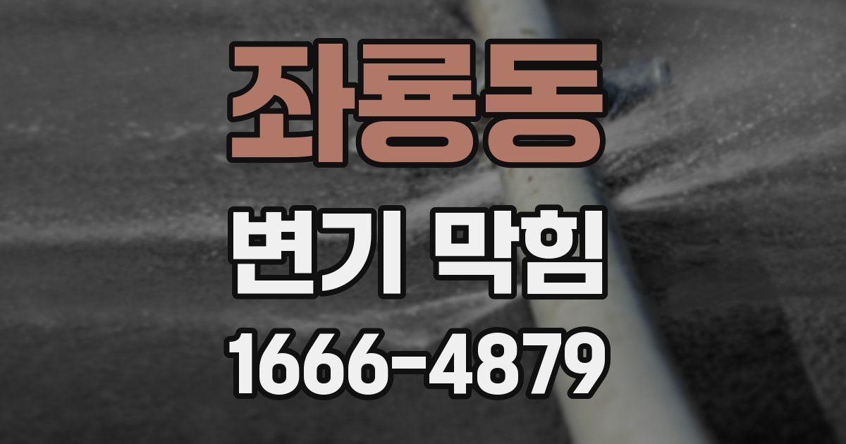 좌룡동 변기 막힘