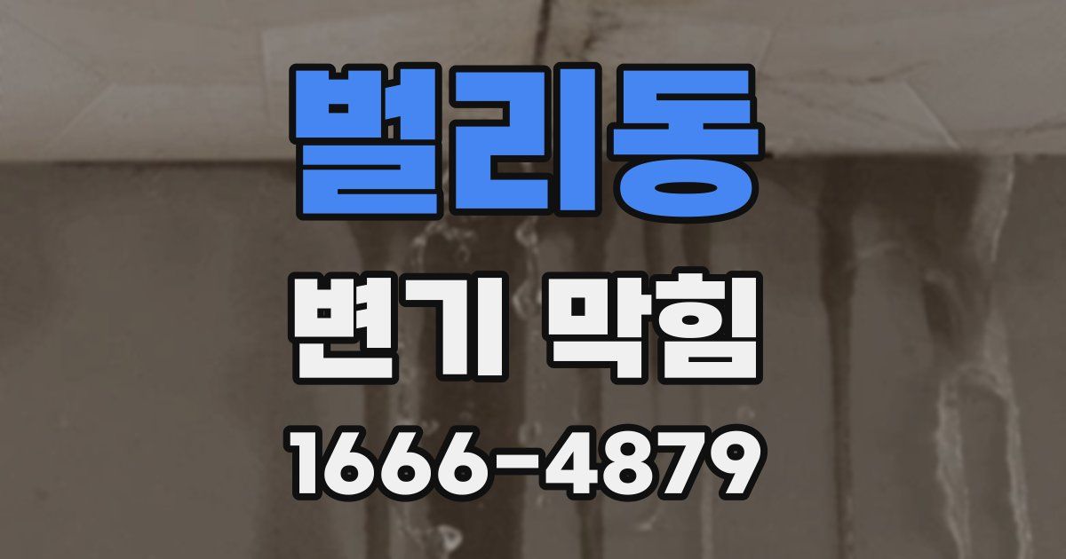 벌리동 변기 막힘