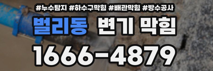 벌리동 변기 막힘
