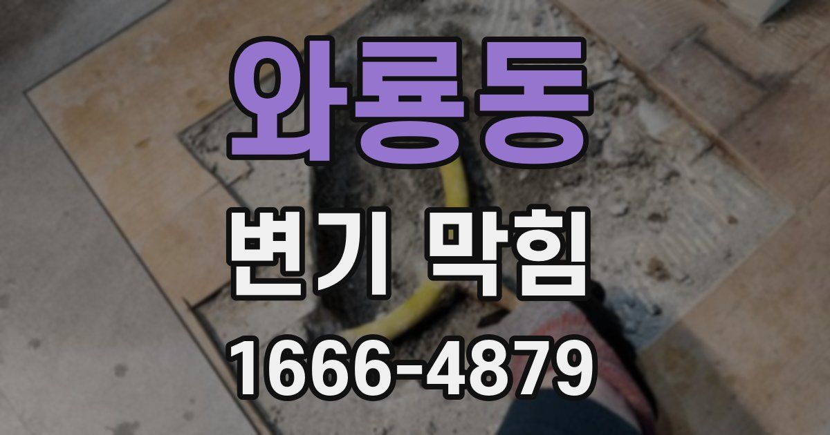 와룡동 변기 막힘