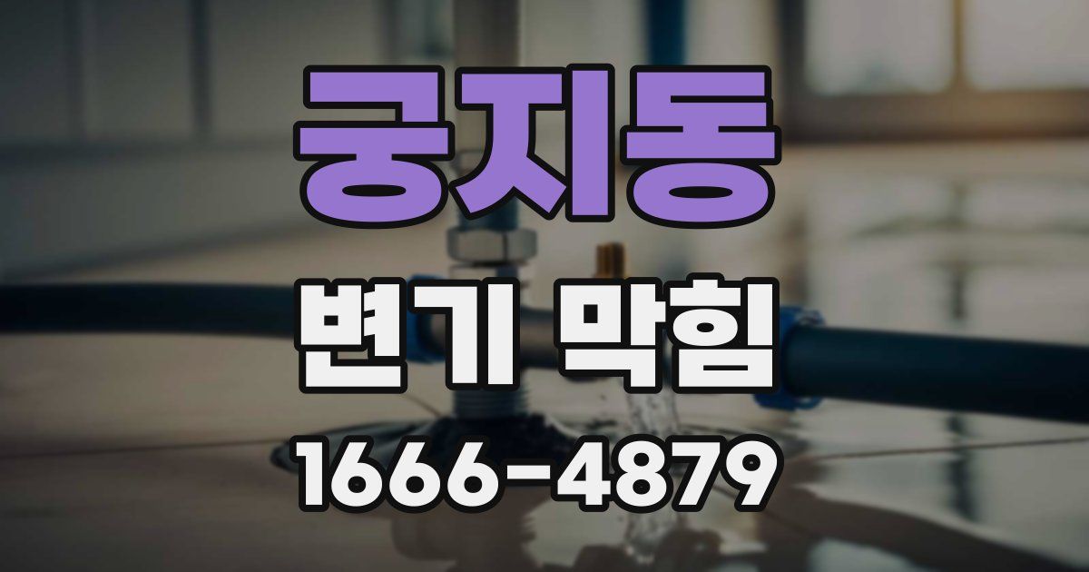 궁지동 변기 막힘