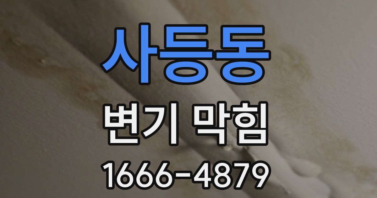 사등동 변기 막힘