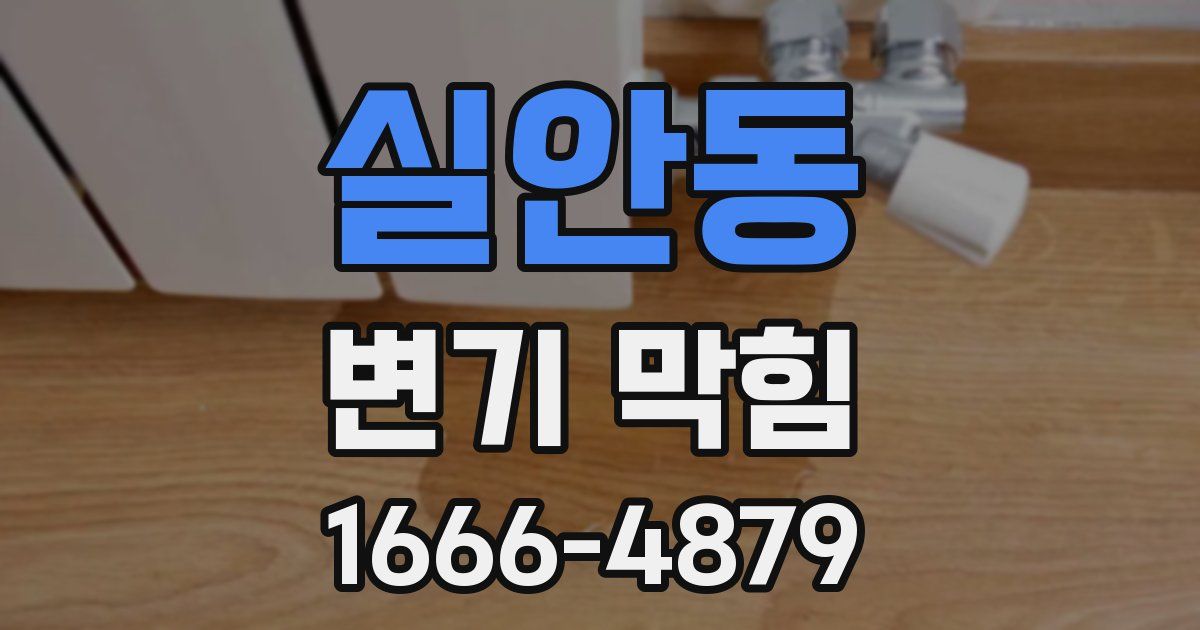 실안동 변기 막힘