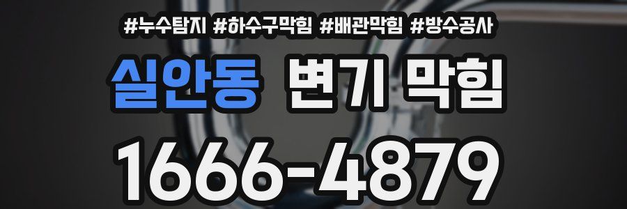 실안동 변기 막힘