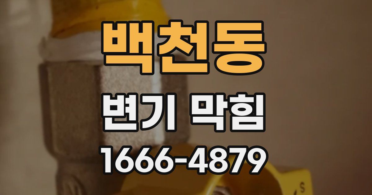 백천동 변기 막힘