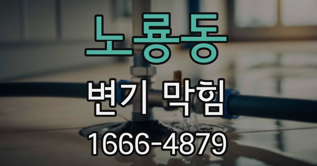 노룡동 변기 막힘