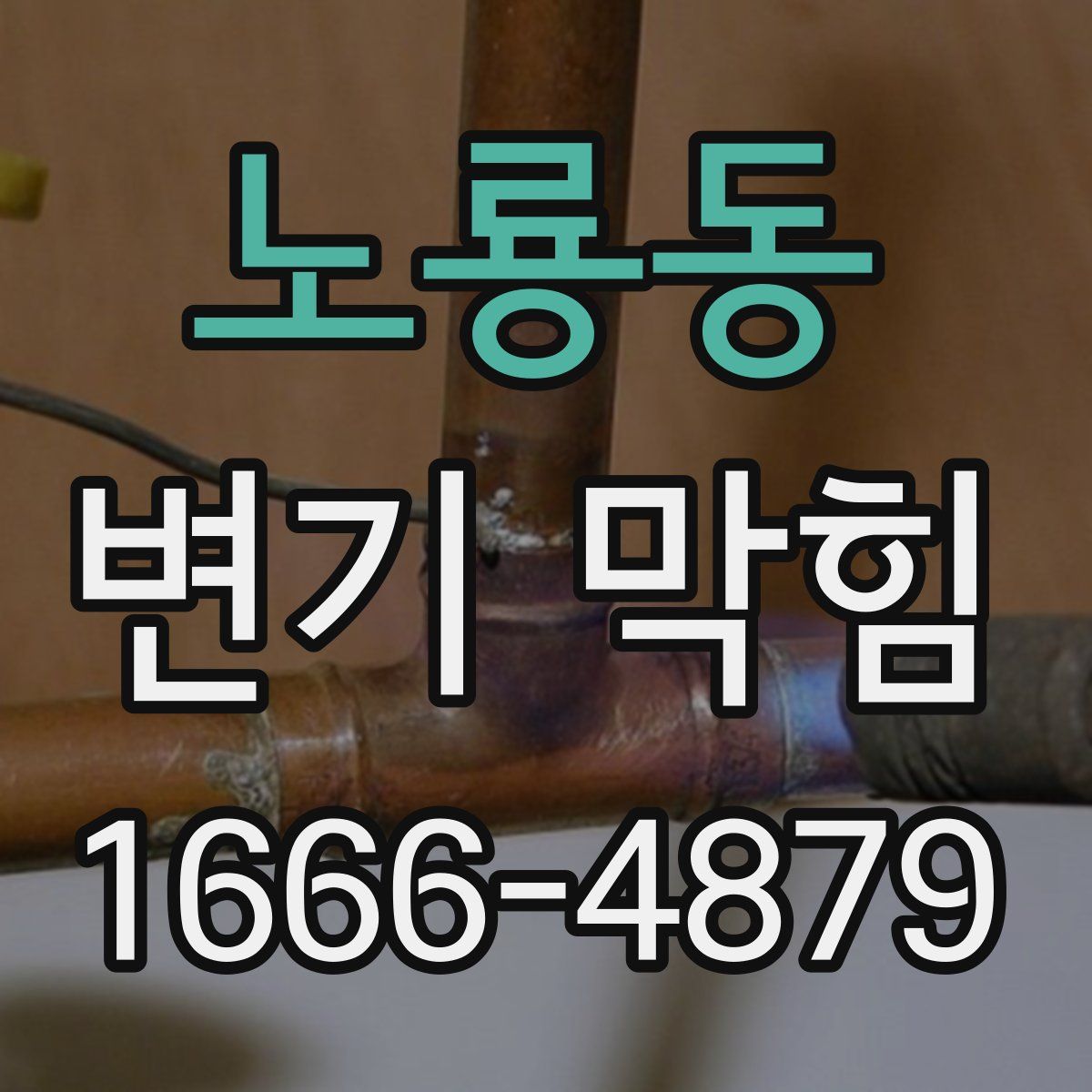 노룡동 변기 막힘