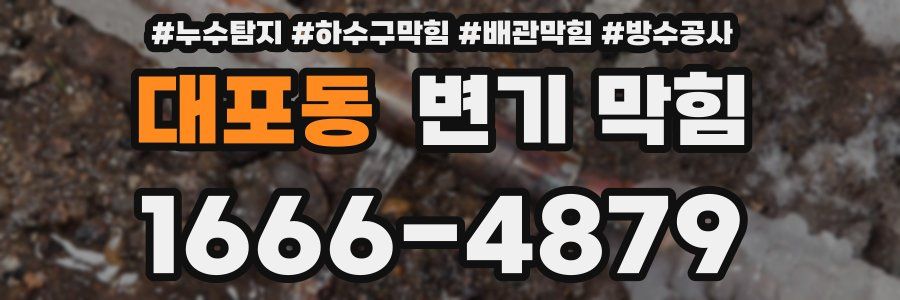 대포동 변기 막힘
