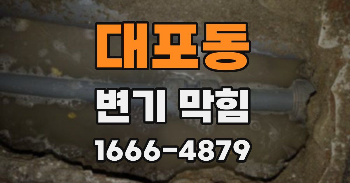 대포동 변기 막힘