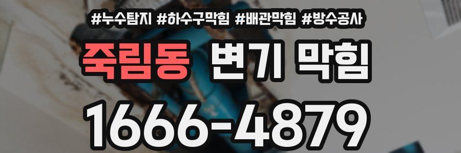 죽림동 변기 막힘