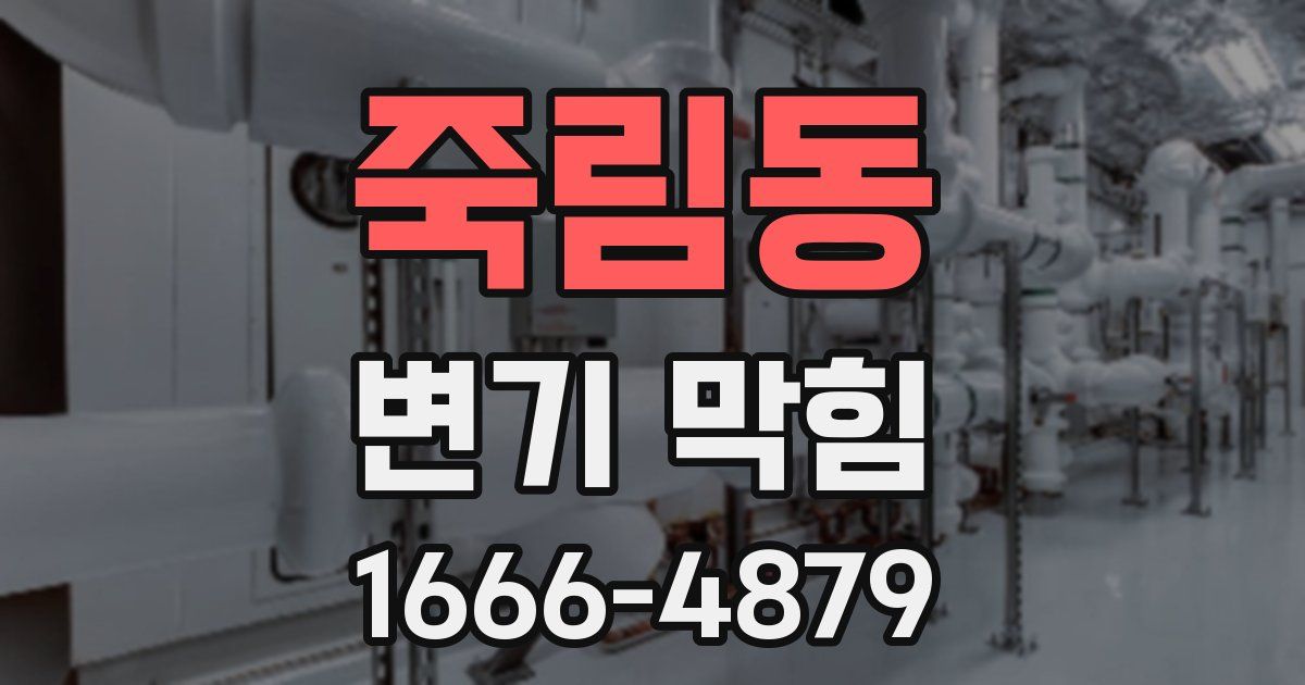 죽림동 변기 막힘