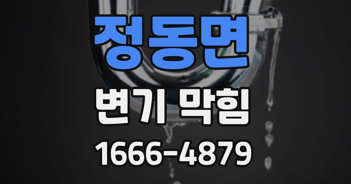 정동면 변기 막힘