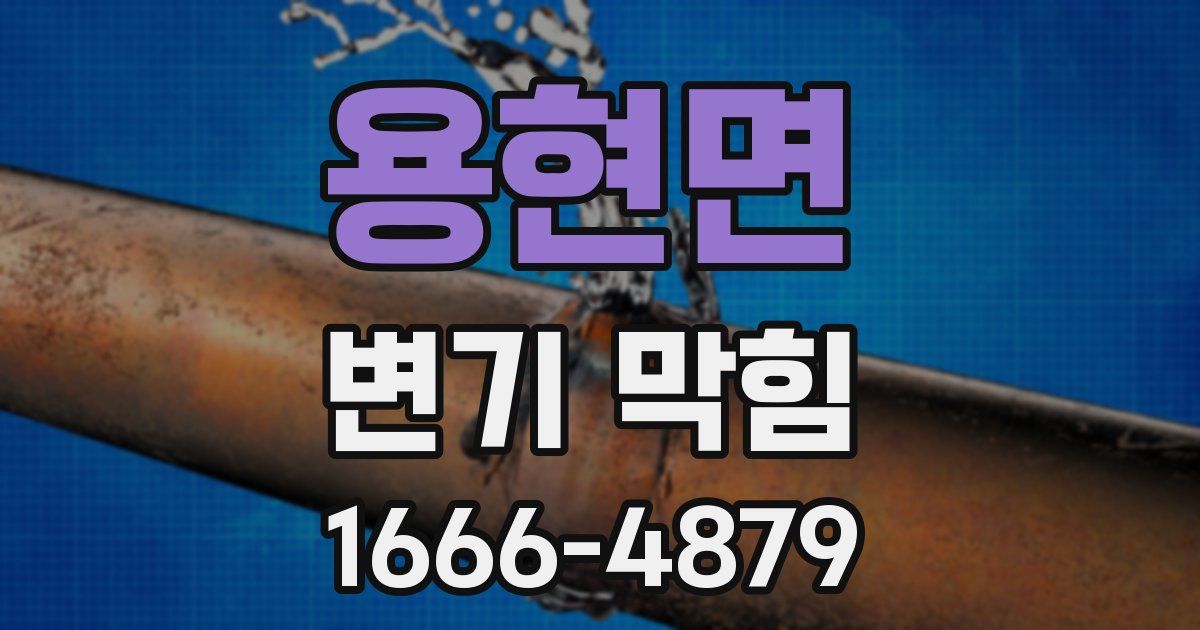 용현면 변기 막힘