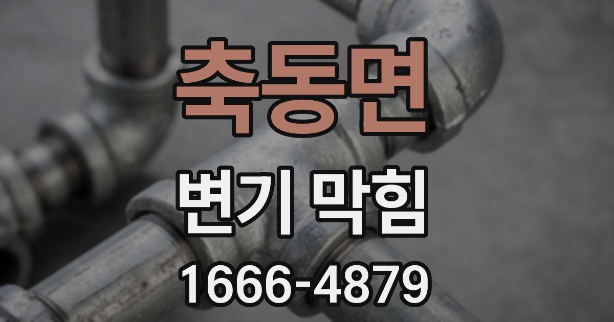축동면 변기 막힘