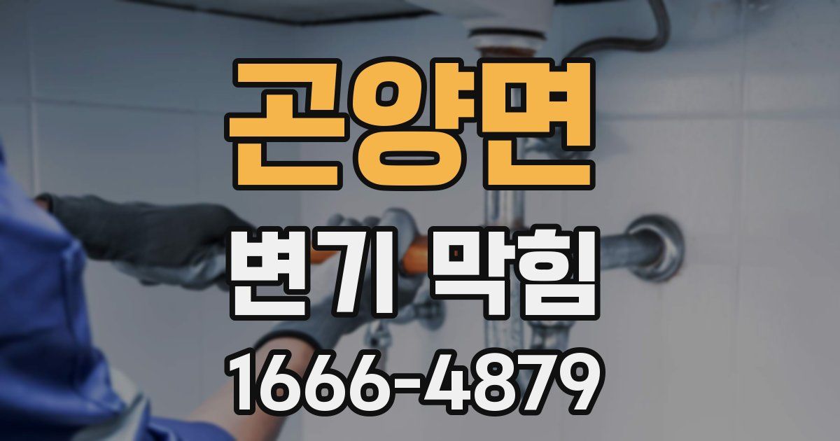 곤양면 변기 막힘