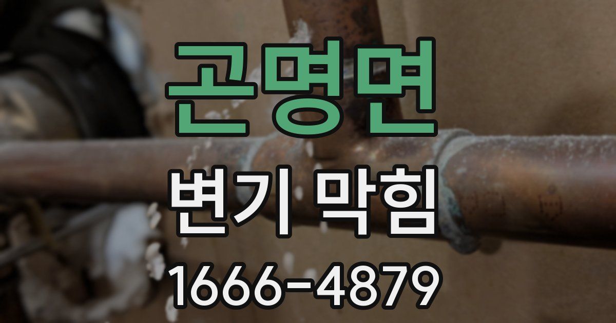 곤명면 변기 막힘