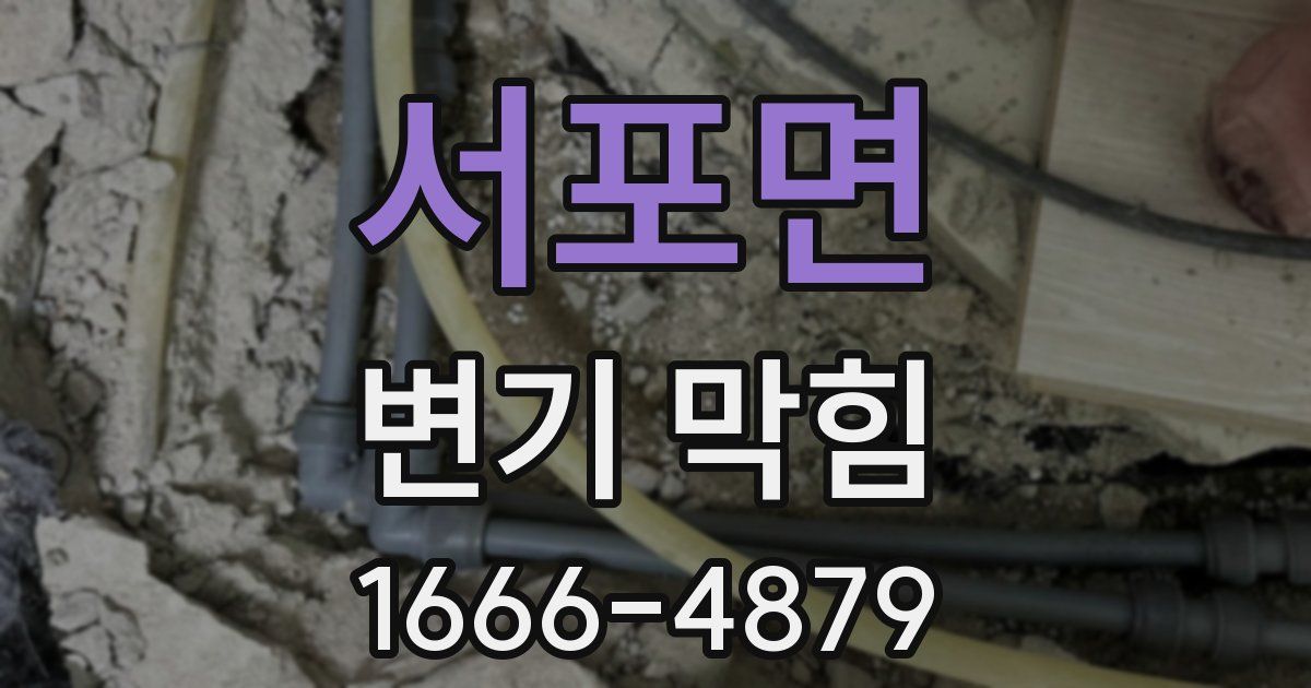 서포면 변기 막힘