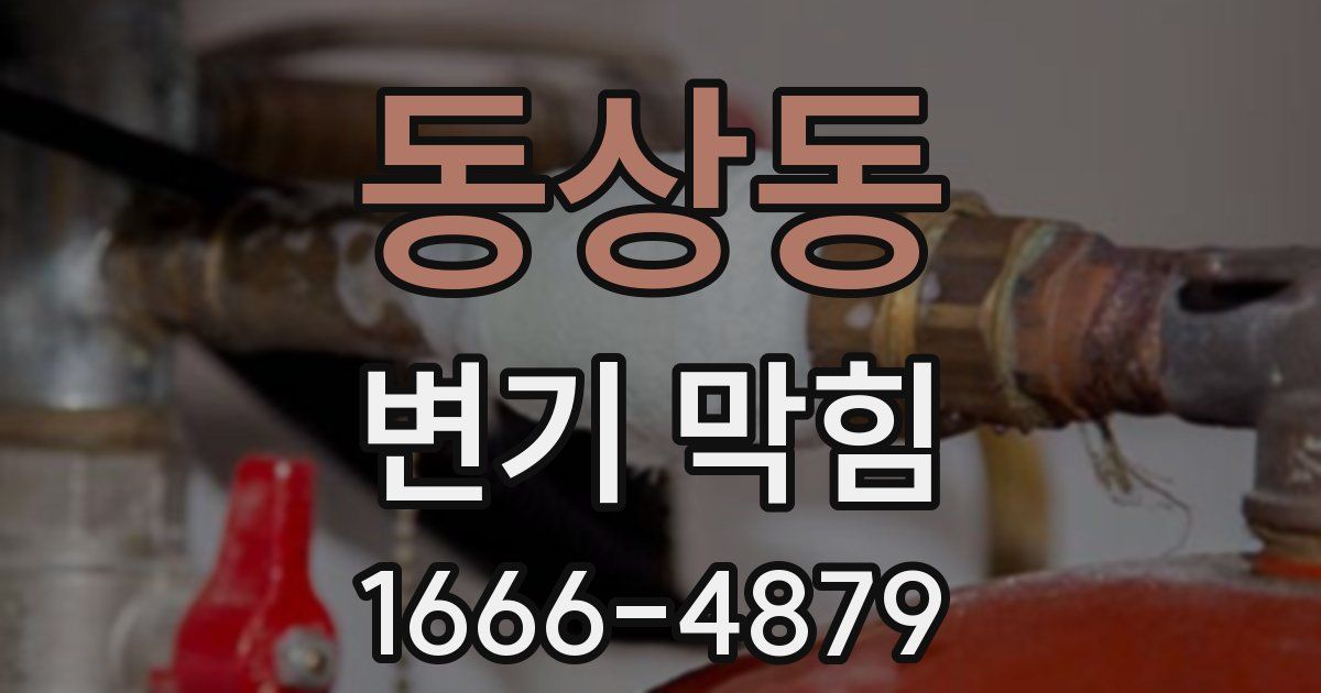 동상동 변기 막힘